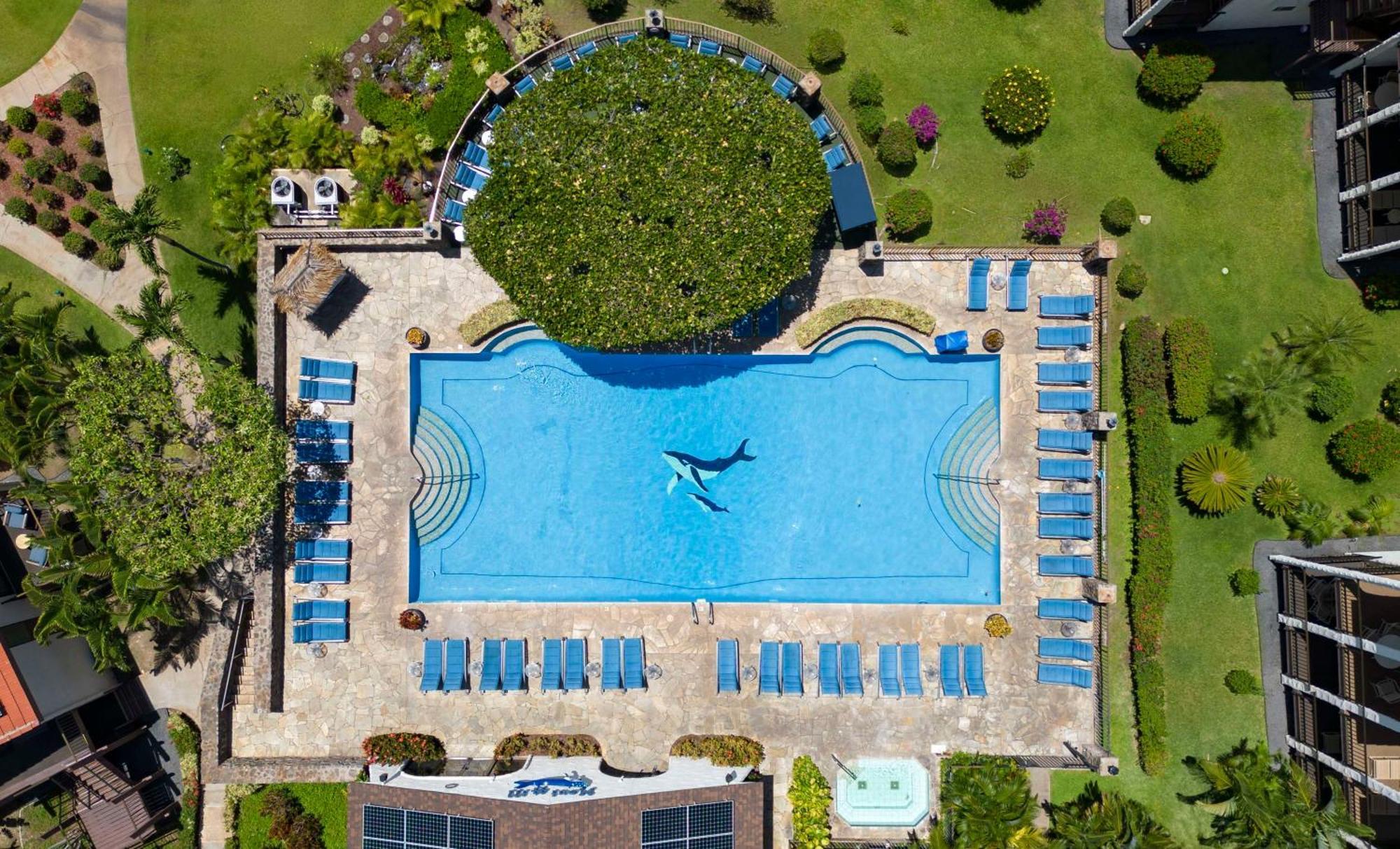 แอสตัน มอย ฮิลล์ รีสอร์ต Aparthotel ไวเลอา ภายนอก รูปภาพ